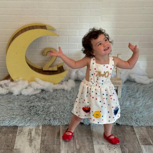 Elmo Dress Smash Cake Second Birthday Cookie Monster Clothes Sesame Street Abby - Picture 2 of 4